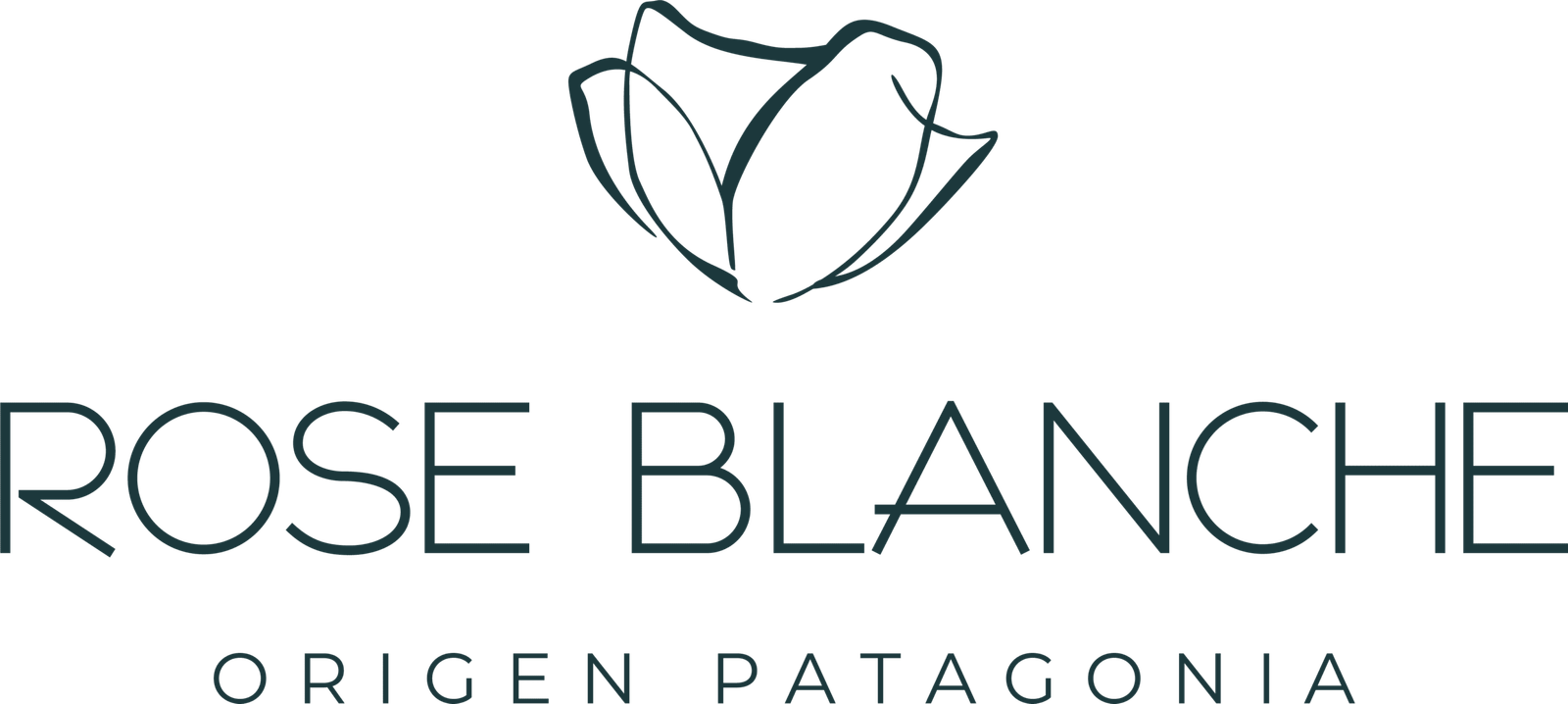 Rose Blanche